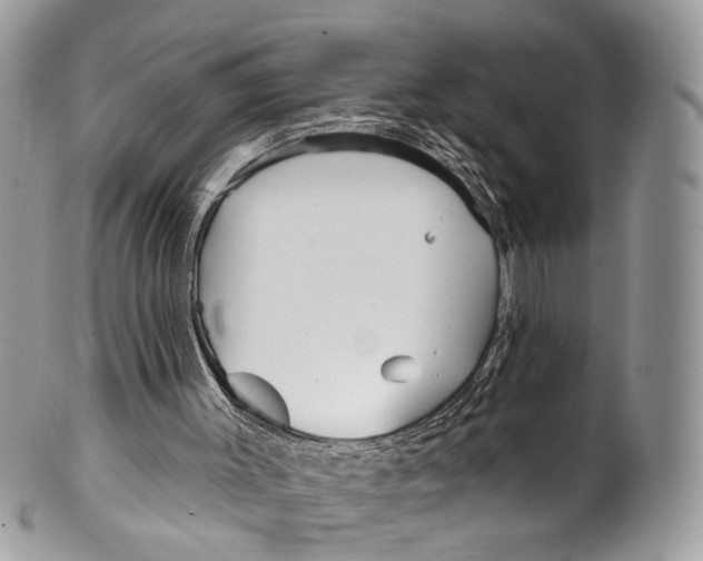 X0000099520003200806051222