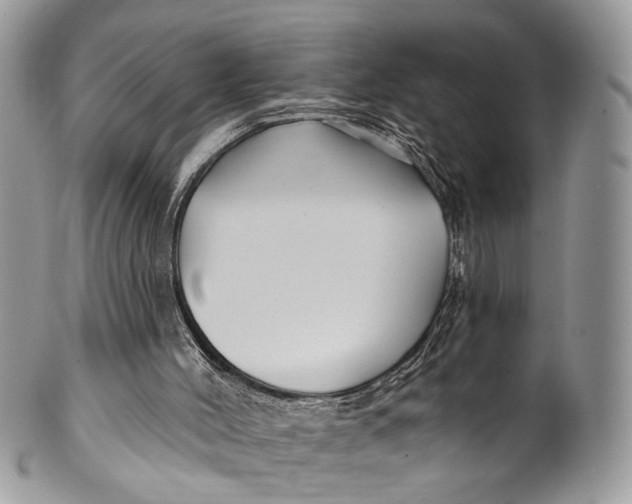 X0000099520004200806051222