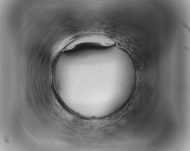 X0000099520005200806051222