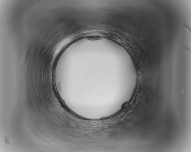 X0000099520006200806051222