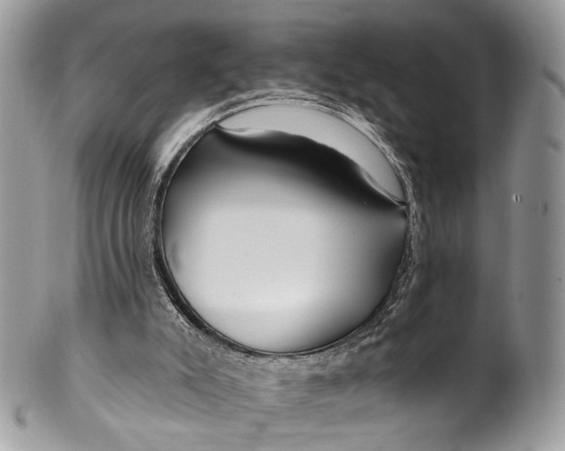 X0000099520007200806051222