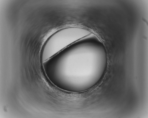 X0000099520008200806051222