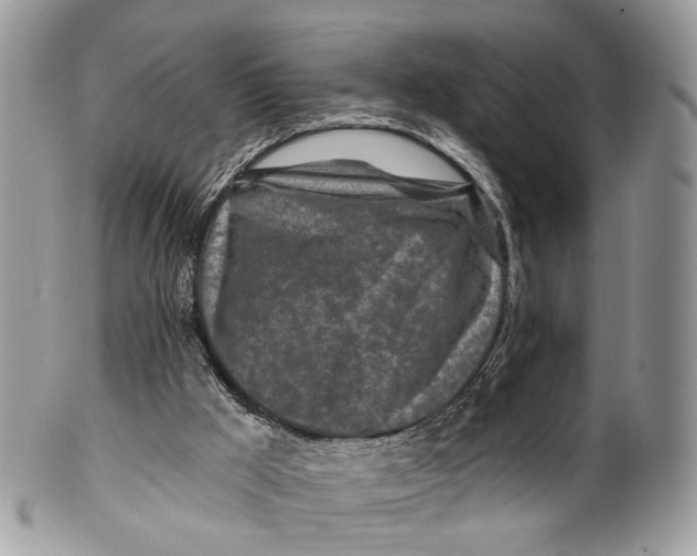 X0000099520009200806051222