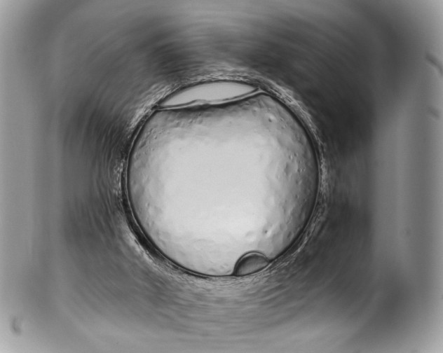 X0000099520010200806051222