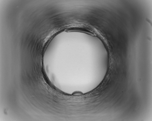 X0000099520011200806051222