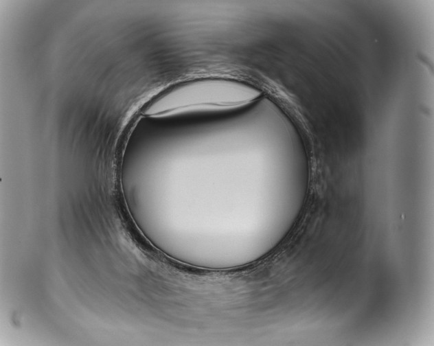 X0000099520012200806051222