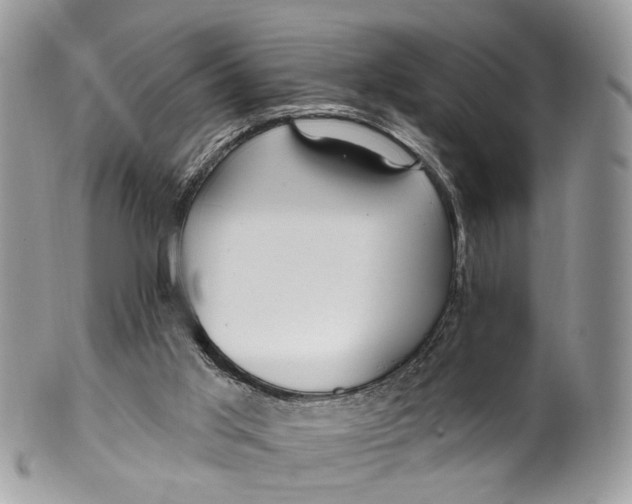 X0000099520013200806051222