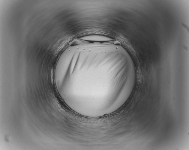 X0000099520014200806051222