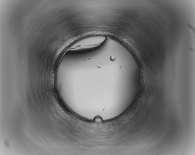 X0000099520016200806051222