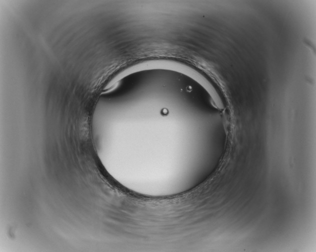 X0000099520017200806051222