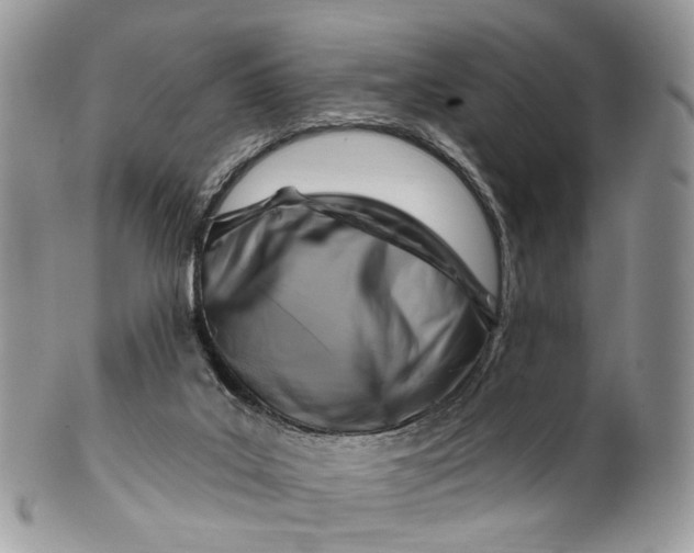 X0000099520019200806051222