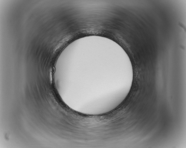 X0000099520020200806051222