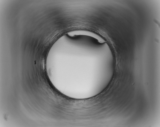 X0000099520021200806051222