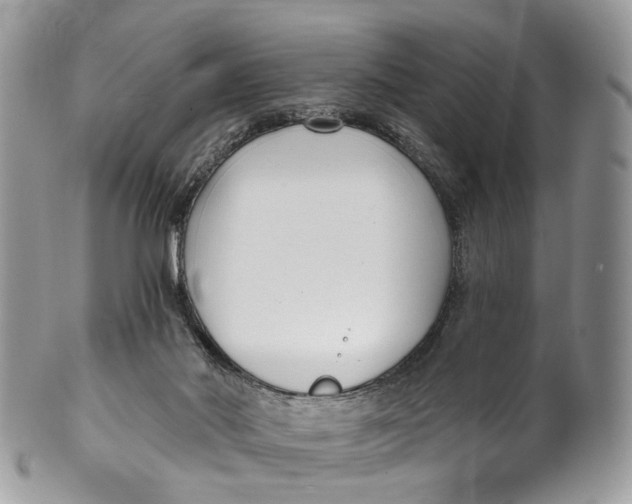 X0000099520022200806051222