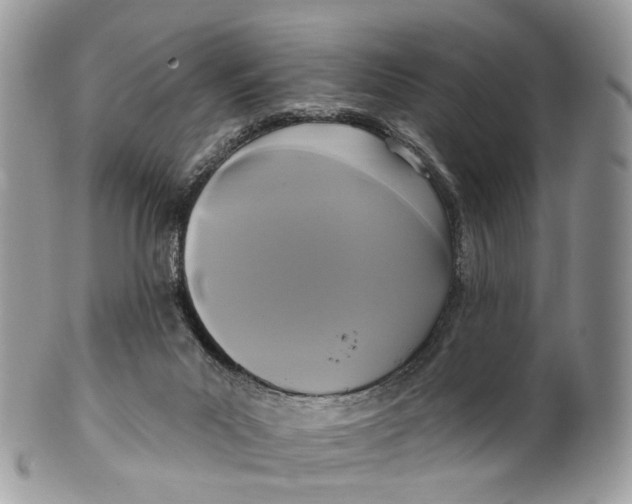 X0000099520023200806051222