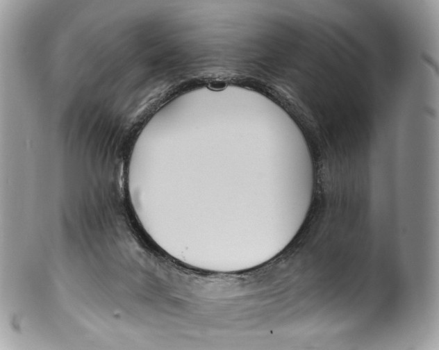 X0000099520024200806051222