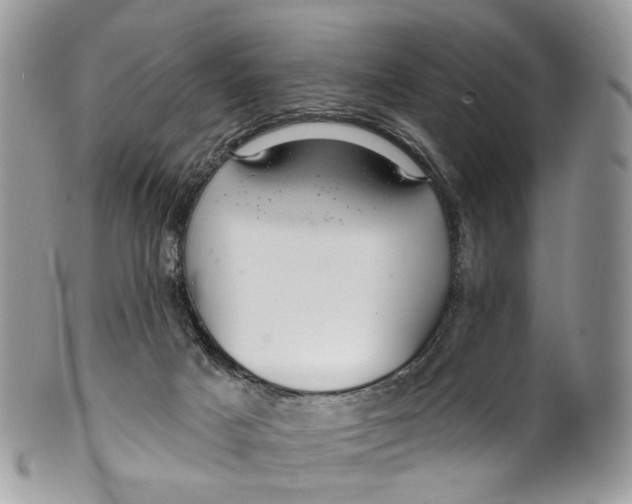 X0000099520025200806051222