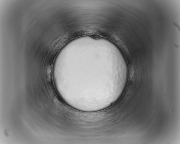 X0000099520026200806051222