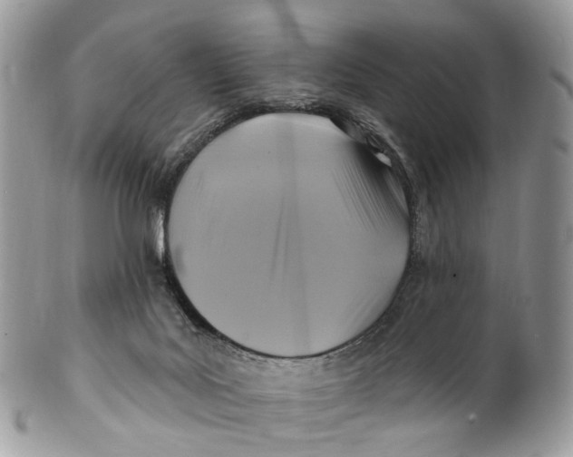 X0000099520027200806051222