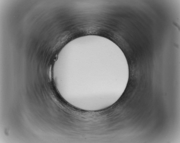 X0000099520028200806051222