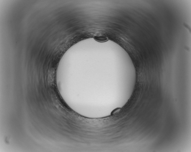 X0000099520030200806051222