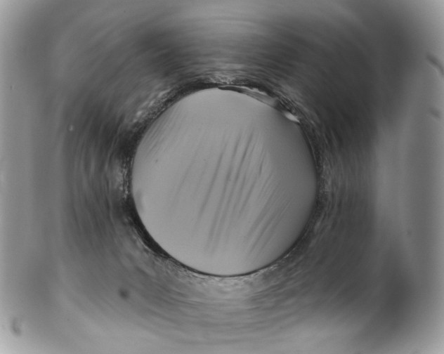 X0000099520031200806051222