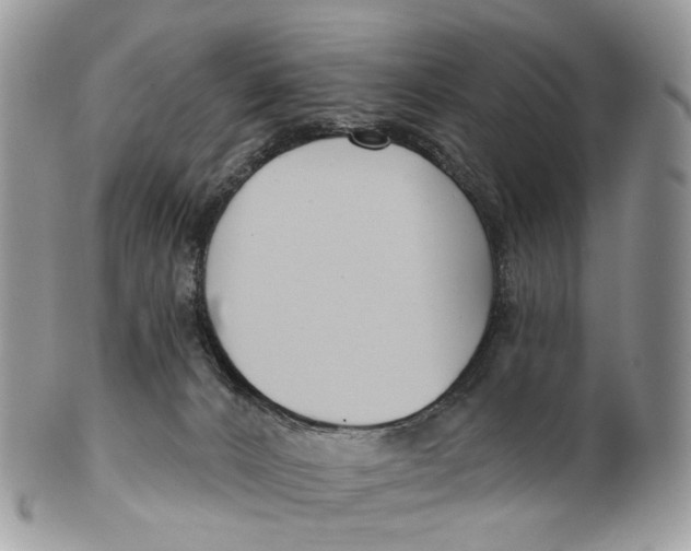 X0000099520032200806051222