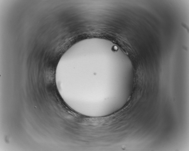 X0000099520033200806051222