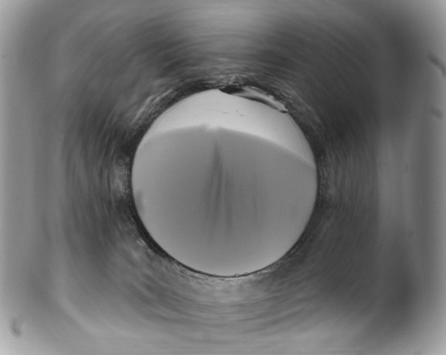 X0000099520035200806051221