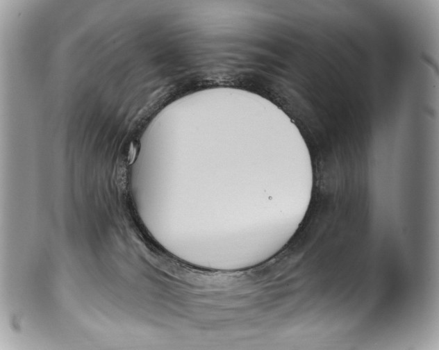 X0000099520036200806051221