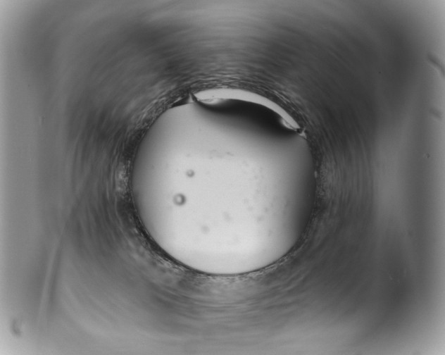 X0000099520037200806051221