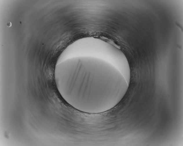 X0000099520039200806051221