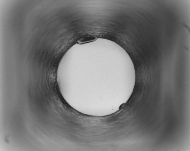 X0000099520040200806051221