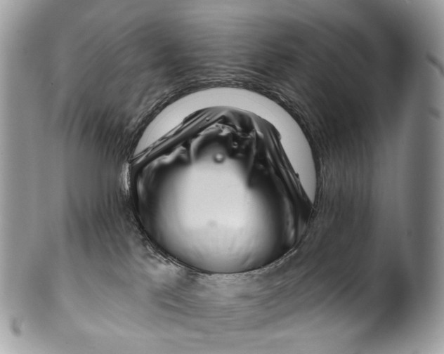 X0000099520041200806051221