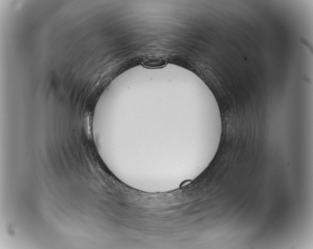 X0000099520042200806051221