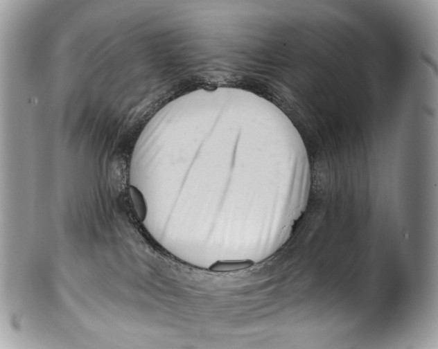 X0000099520043200806051221