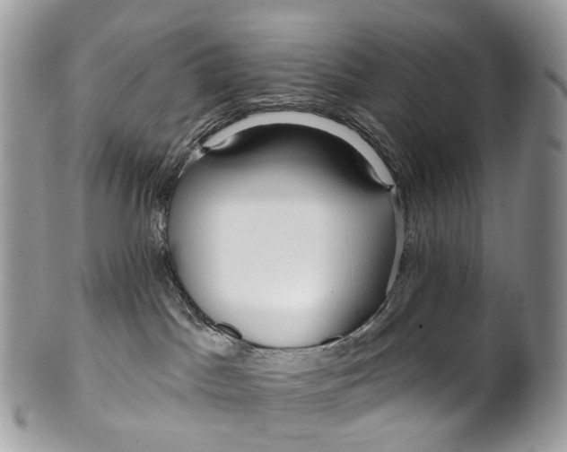 X0000099520045200806051221