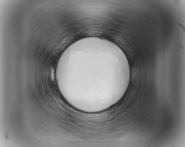 X0000099520046200806051221