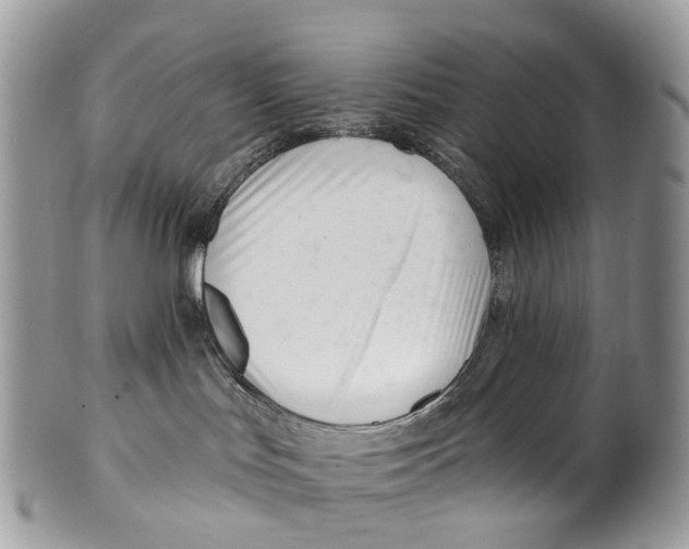 X0000099520047200806051221