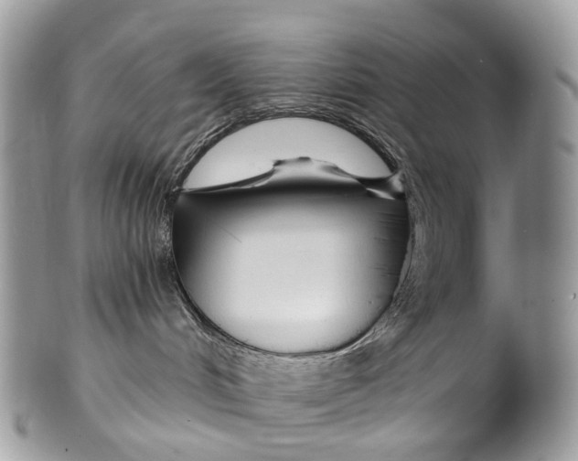 X0000099520048200806051221