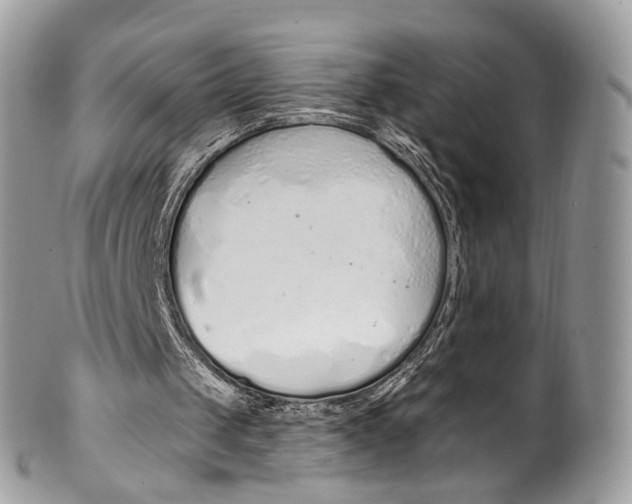 X0000099520049200806051221