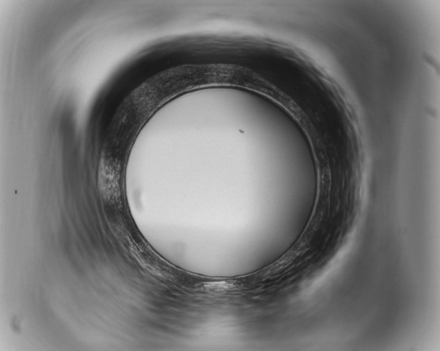 X0000099520050200806051221