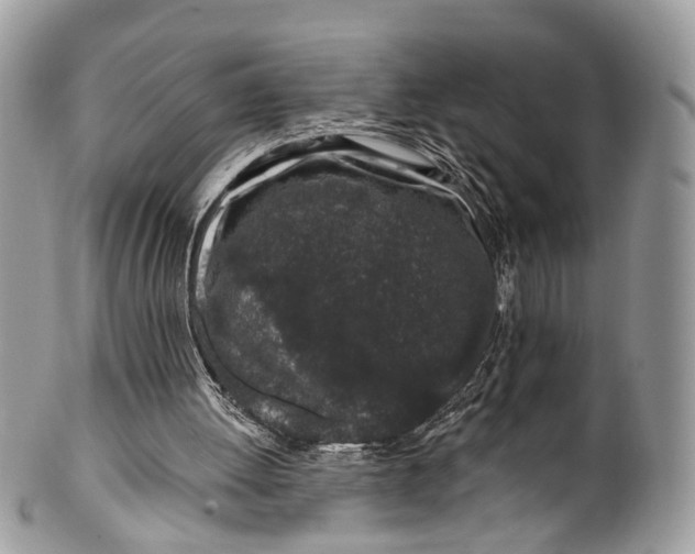 X0000099520052200806051221