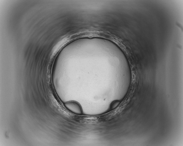 X0000099520053200806051221