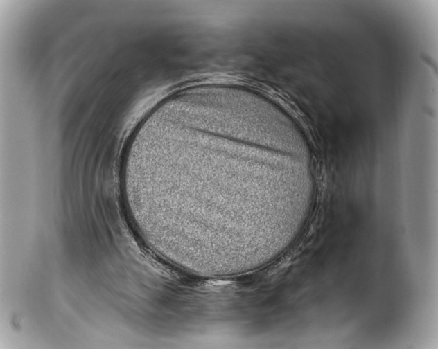 X0000099520055200806051221