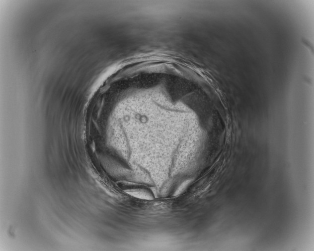 X0000099520056200806051221