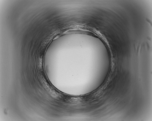 X0000099520057200806051221