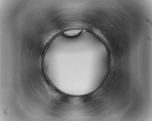 X0000099520058200806051221