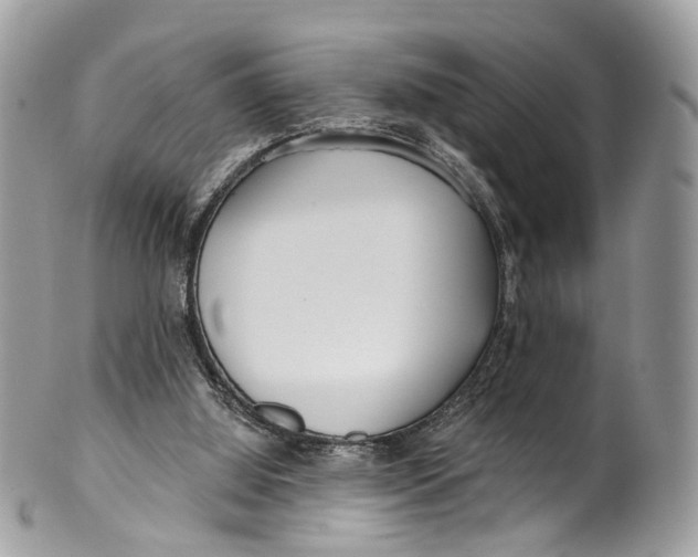 X0000099520060200806051221