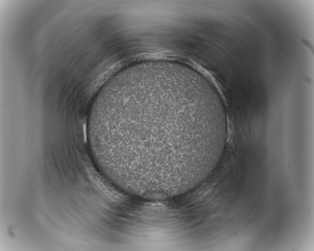 X0000099520061200806051221